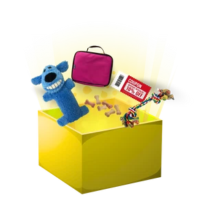 Mystery Gift