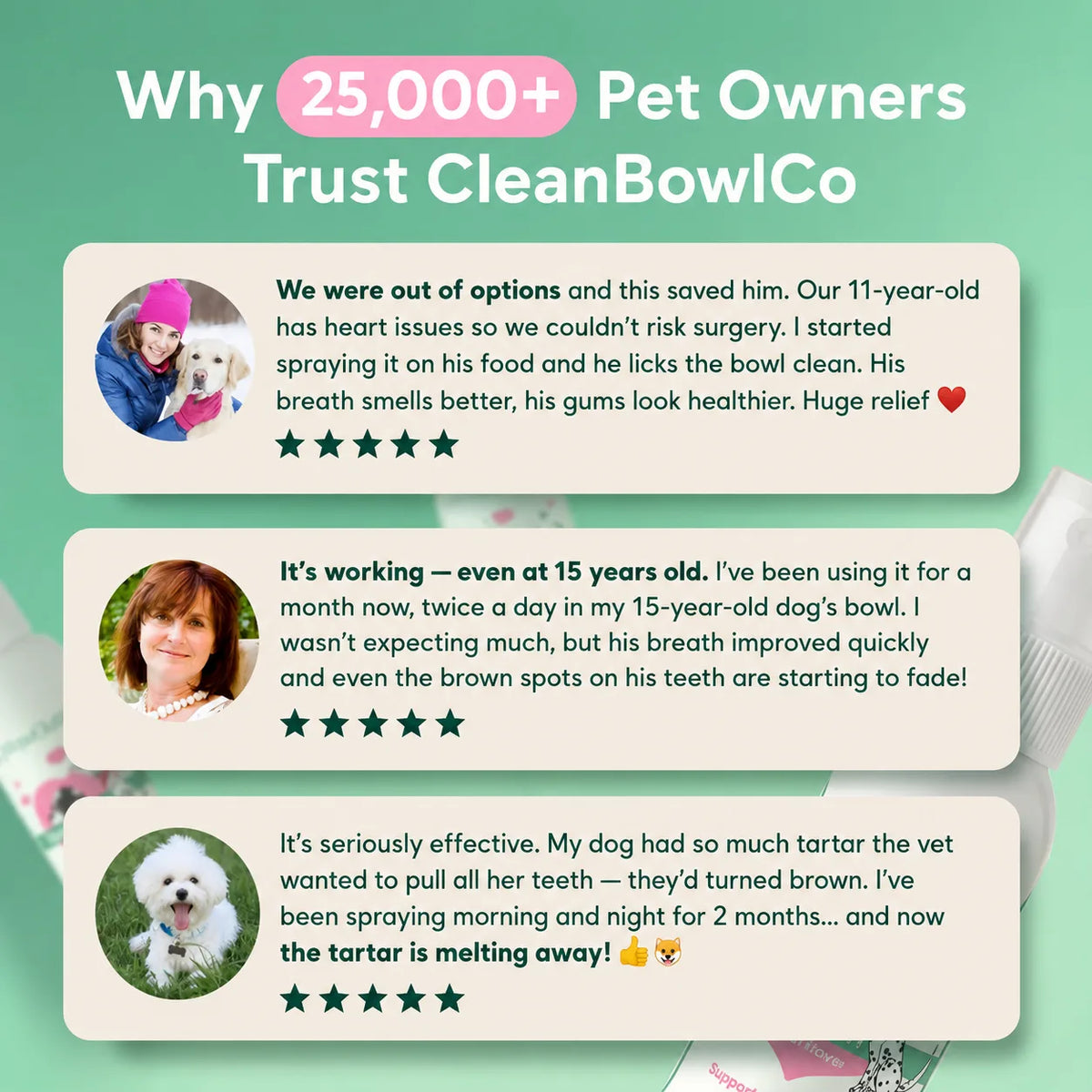 CleanBowlCo Dental Spray