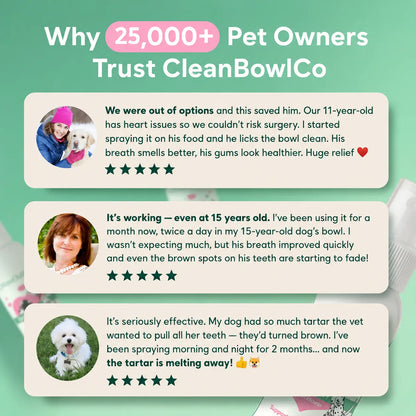 CleanBowlCo Dental Spray