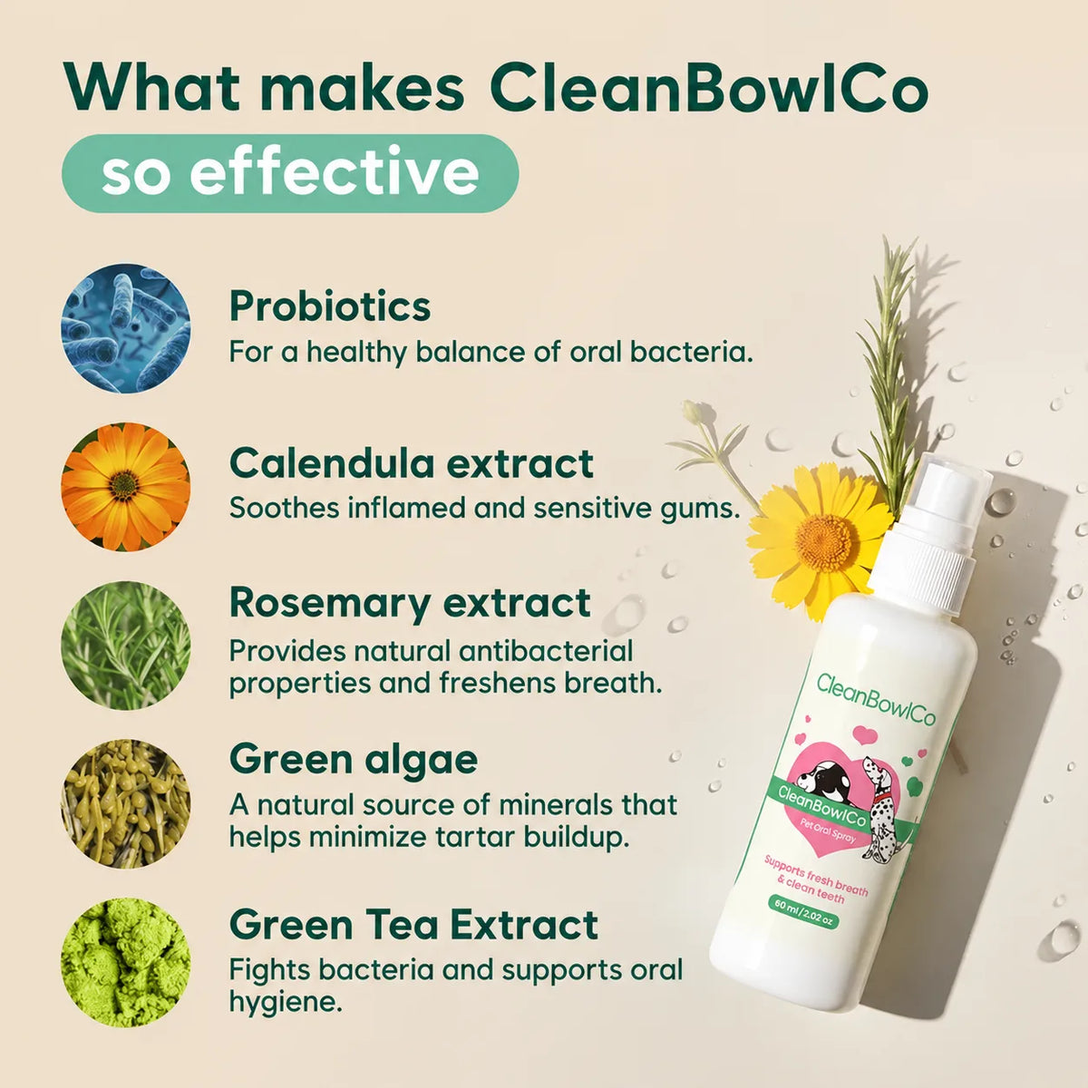 CleanBowlCo Dental Spray