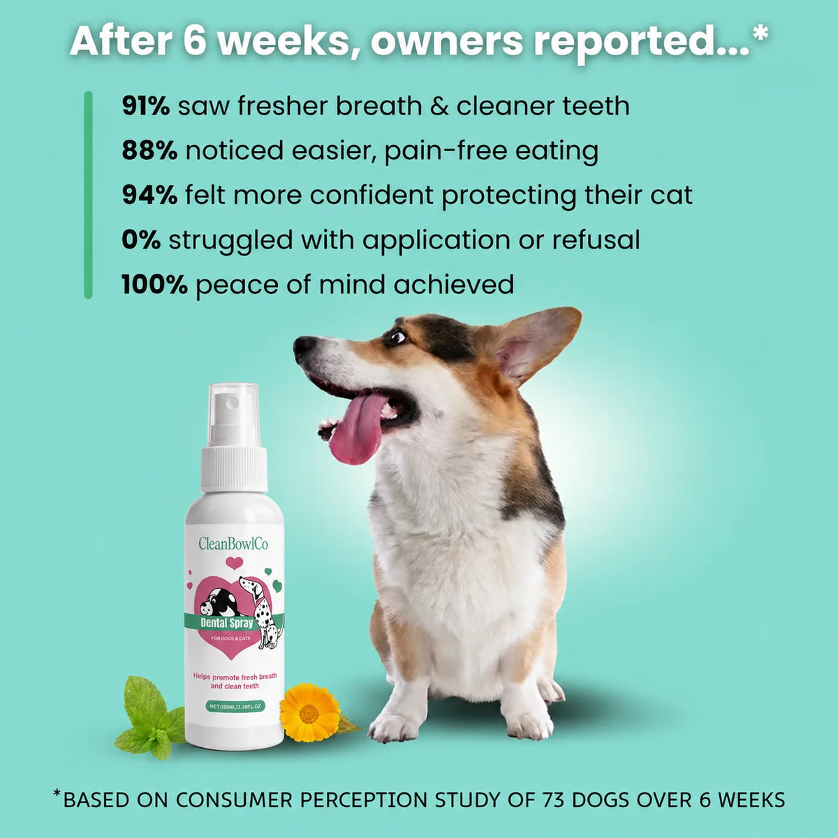 CleanBowlCo Dental Spray