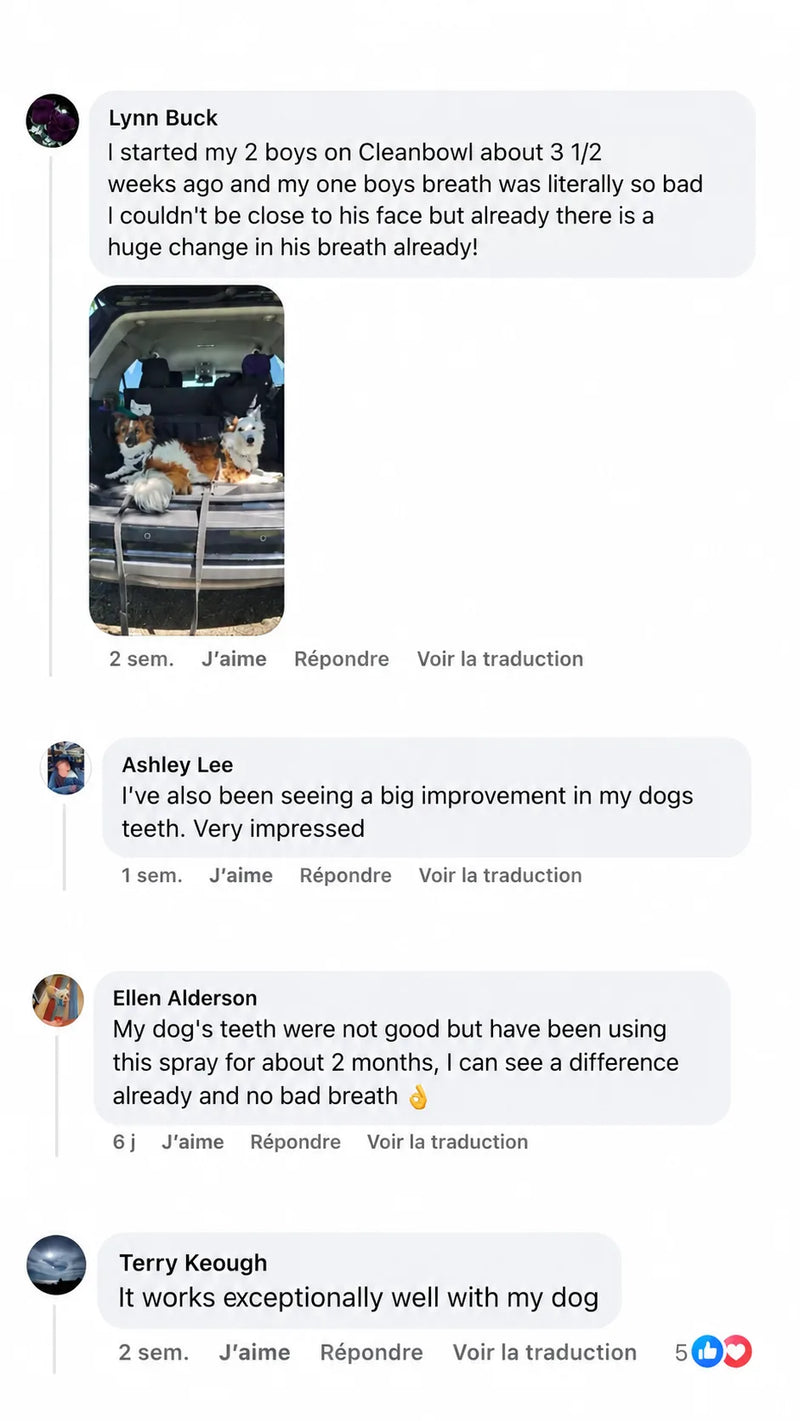 Customer review