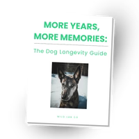 Dog Longevity Guide - Ebook