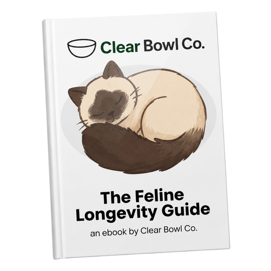 Feline Longevity Guide