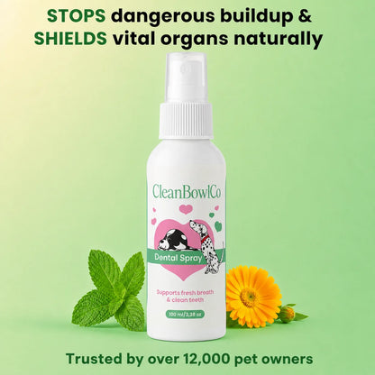 CleanBowlCo Dental Spray