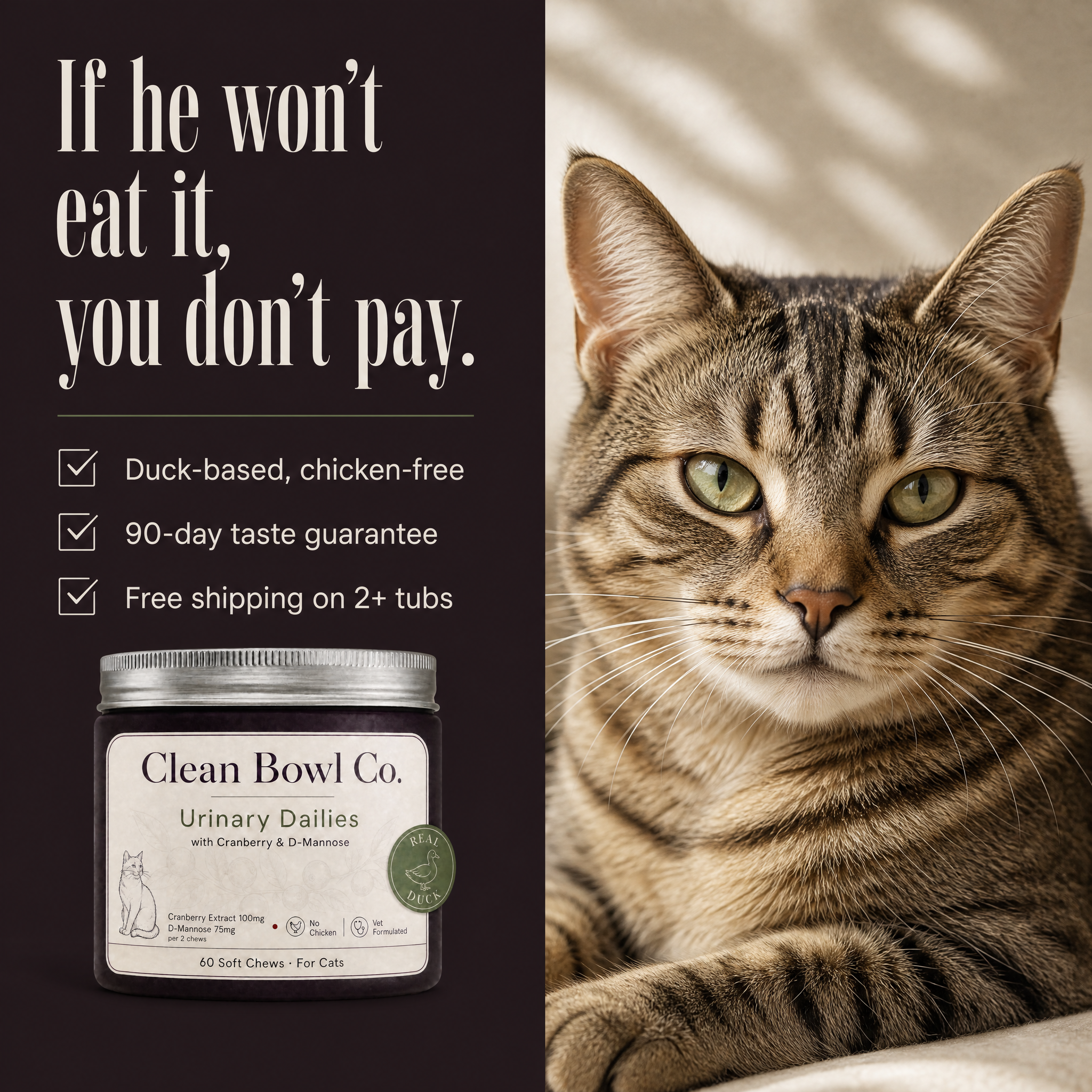 Urinary Dailies